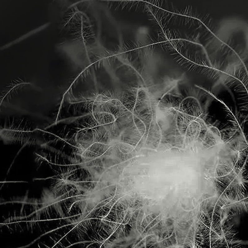 90% пух серой утки 90% пух серой утки