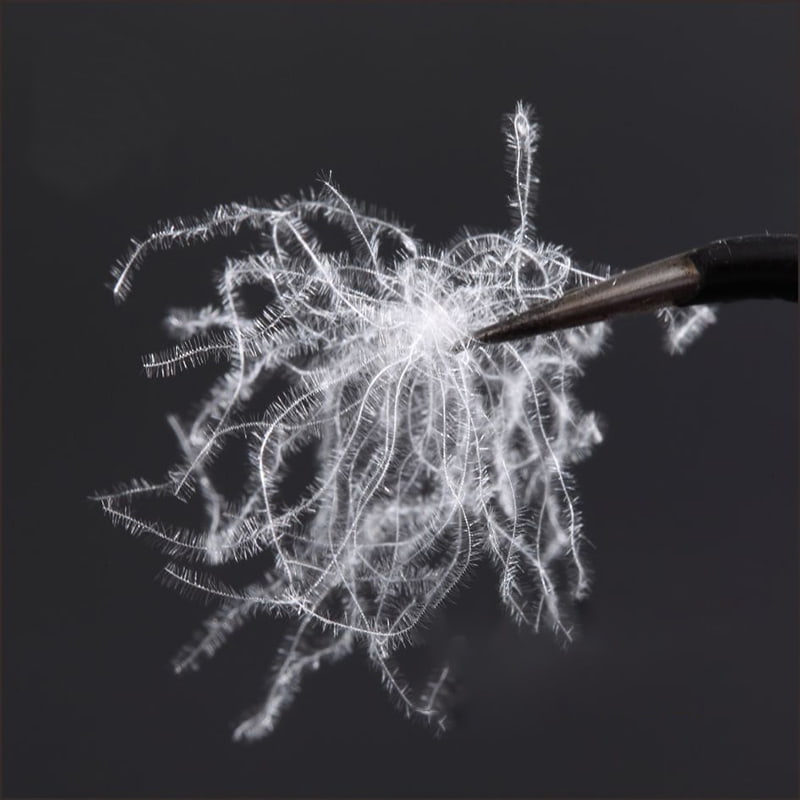 80% чистый пух белой утки