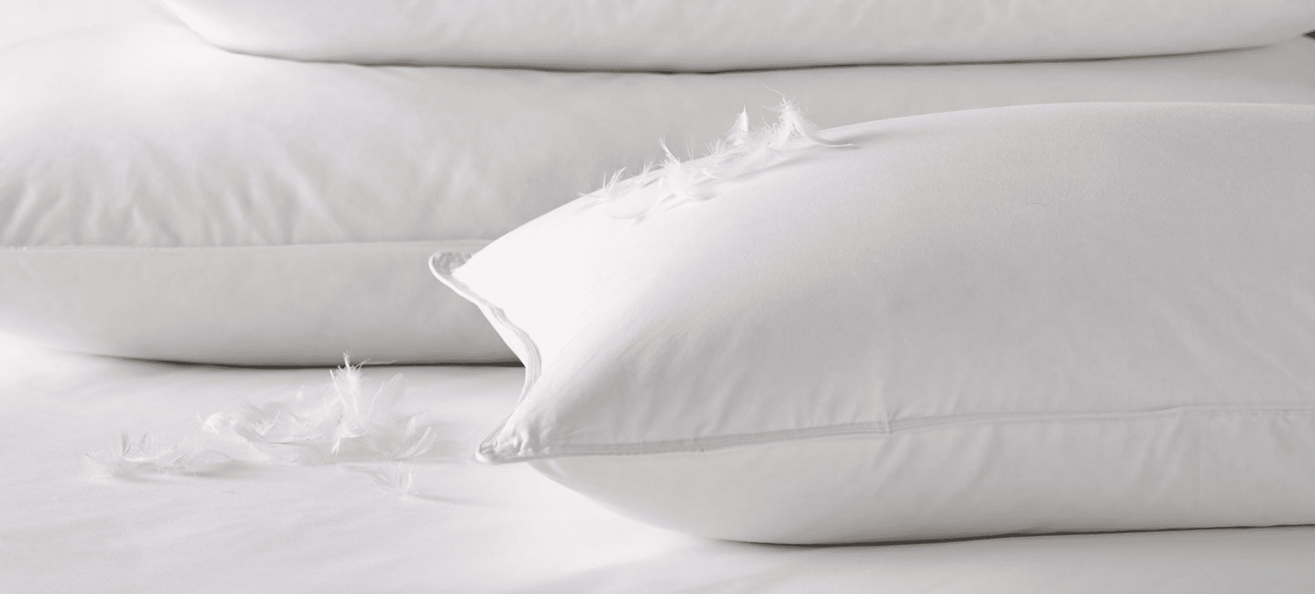 Компания Zhejiang Shengjie Down Products Co., Ltd.