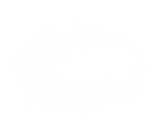 90 large flowers